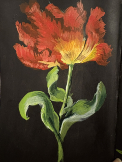 Botanical